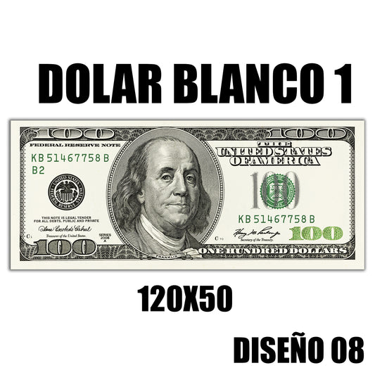 Cuadro Dolar 120x50