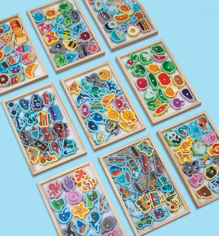 Juego Magnetico De Pesca