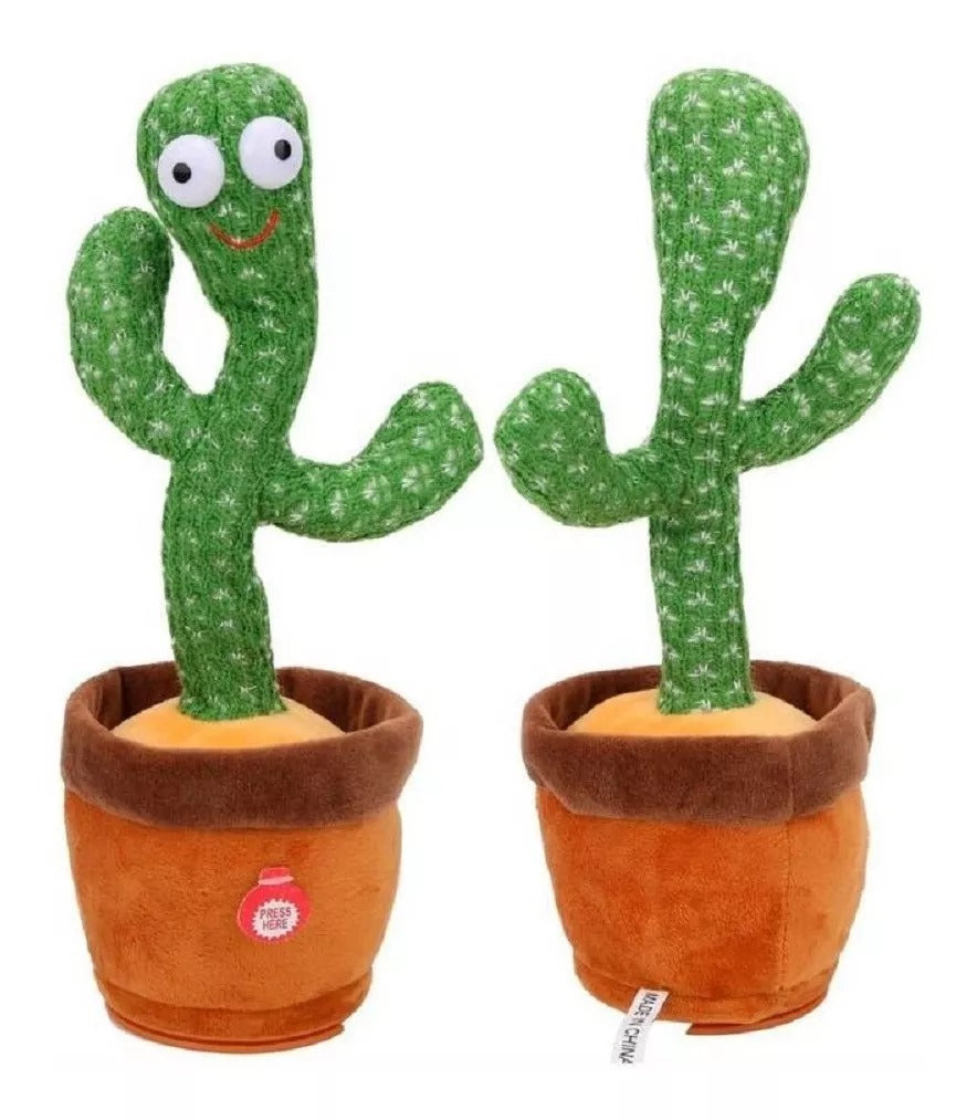 Cactus Bailarin