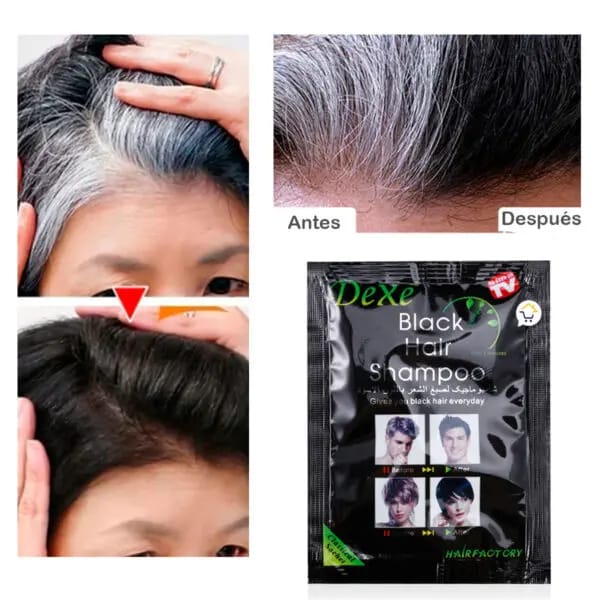 Shampoo Black Hair (Cubre Canas)