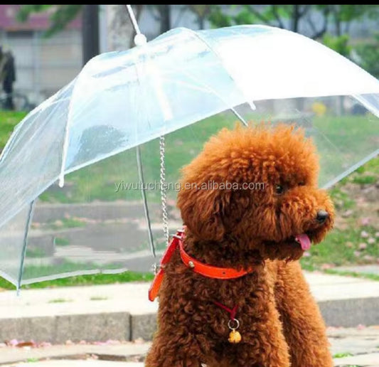Sombrilla Para Mascota